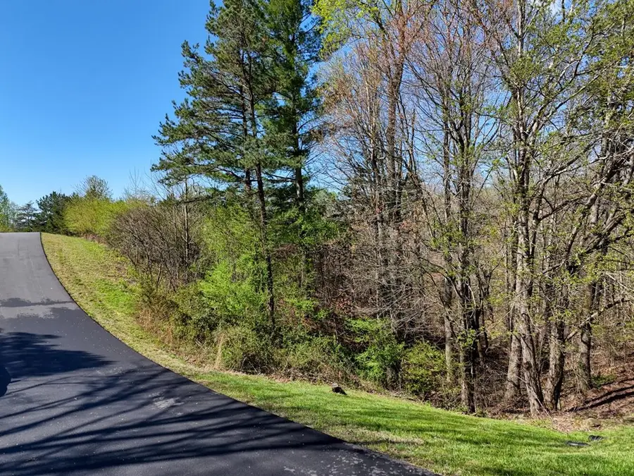 Lot 44 Owen Vista, Blairsville, GA 30512 - Image #2