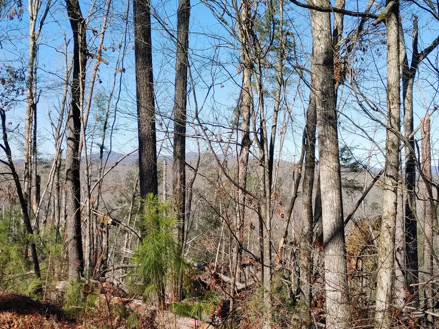 Lot 928 Myna Drive, Ellijay, GA 30540 - #3
