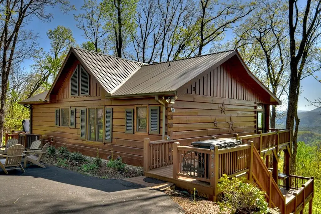 783 Moreland Drive N, Cherry Log, GA 30522 - #1