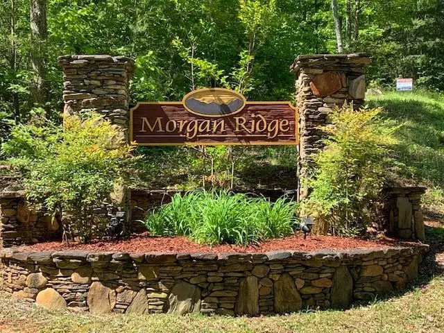 Lot 3 Morgan Ridge Drive, Young Harris, GA 30582 - Image #3