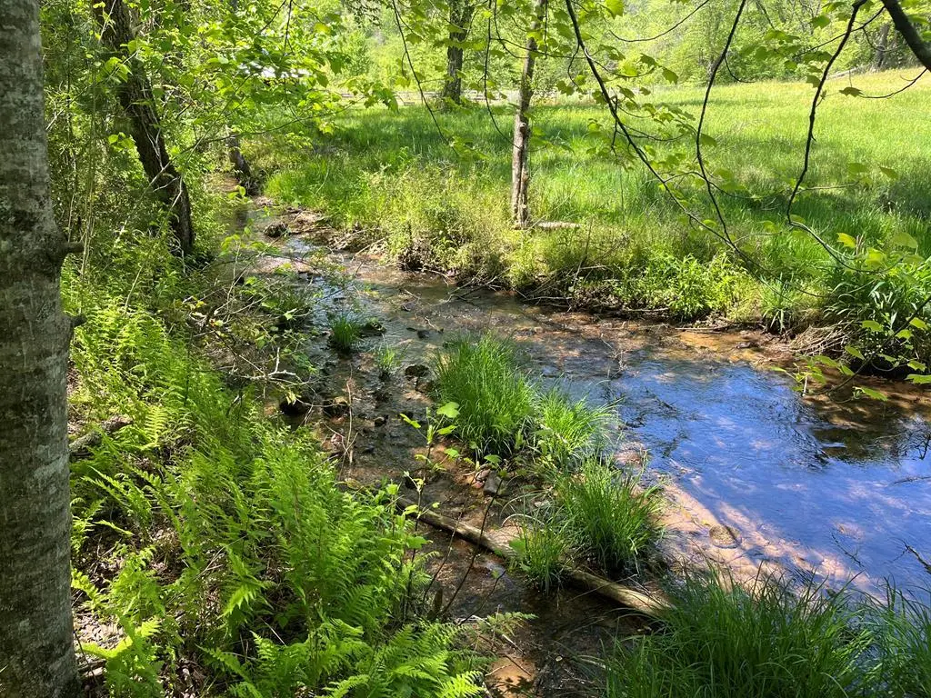 Lot S River Oaks S/d, Hayesville, NC 28904 - Image #1