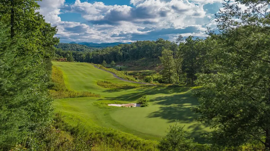 L142 Hickory Way, Mineral Bluff, GA 30559 - Image #3