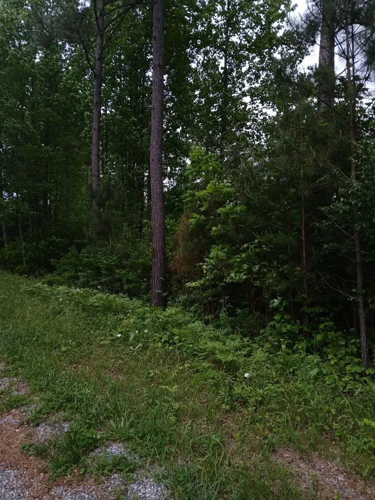 7.52 Ac. Hicks Ford Road, Ellijay, GA 30540 - #2