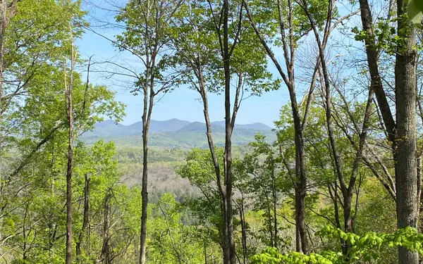 LOT19 Raven Ridge Circle, Mineral Bluff, GA 30559