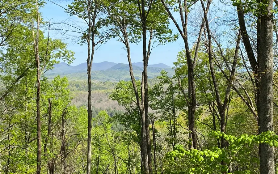 LOT19 Raven Ridge Circle, Mineral Bluff, GA 30559 - Image #2