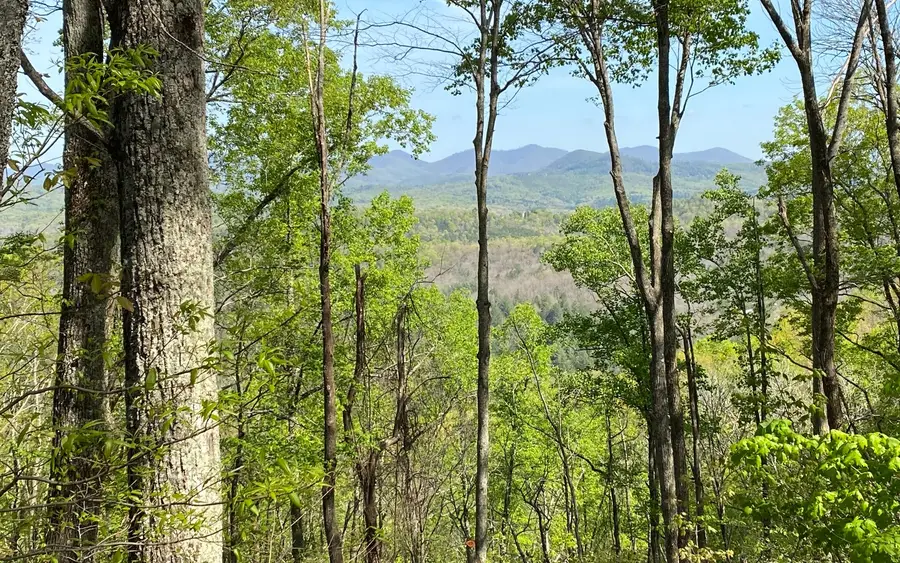 LOT19 Raven Ridge Circle, Mineral Bluff, GA 30559 - Image #3