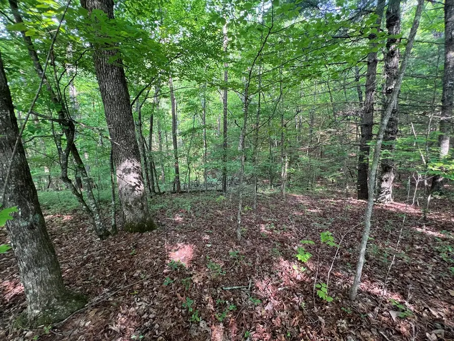 9 + Acre Leonard Lane, Murphy, NC 28906 - #3