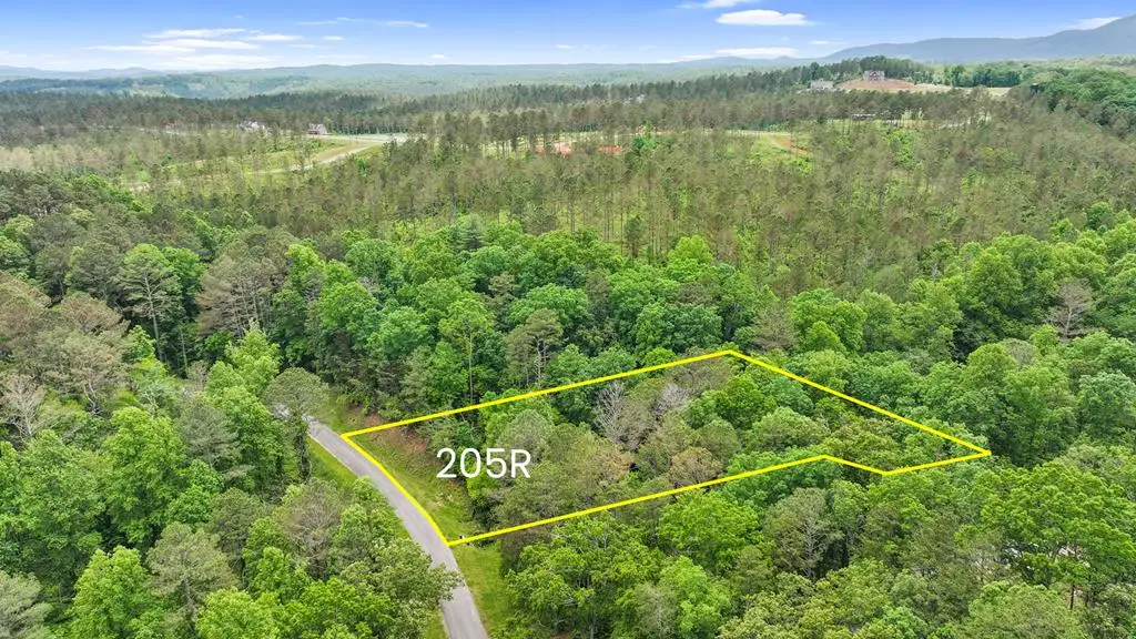 lot 205r Pinnacle Drive, Ellijay, GA 30540 - #1