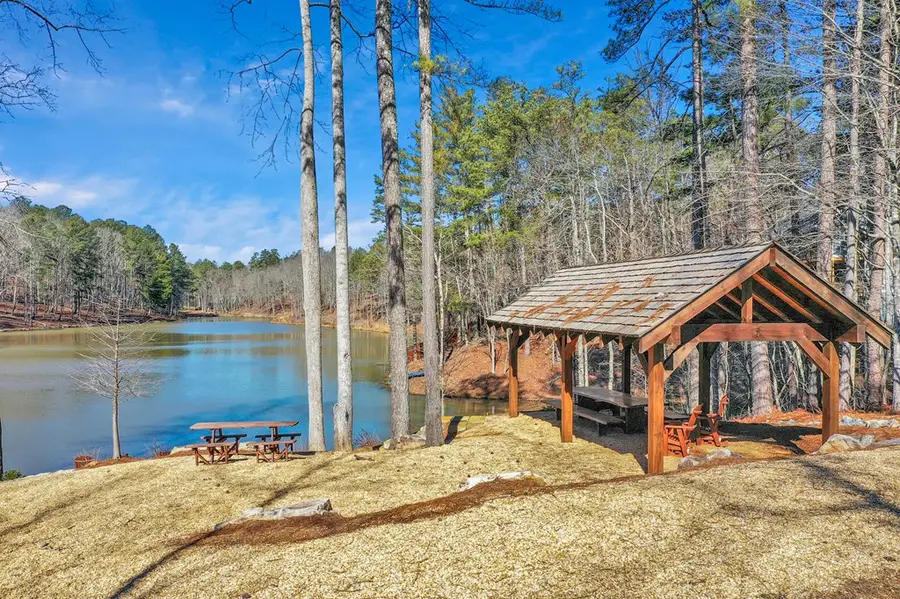 lot 205r Pinnacle Drive, Ellijay, GA 30540 - #3