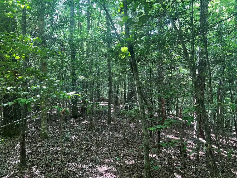 000 Tobe Stalcup Road, Murphy, NC 28906 - Image #3