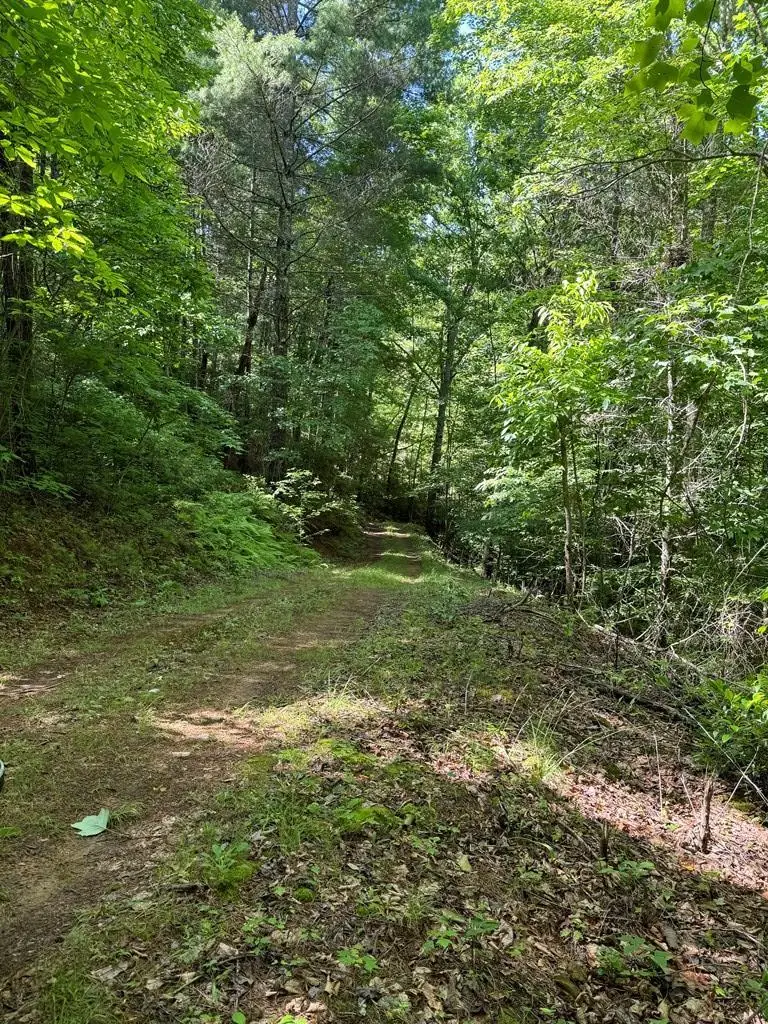 00 John Taylor Road, Hothouse, NC 28906 - #1