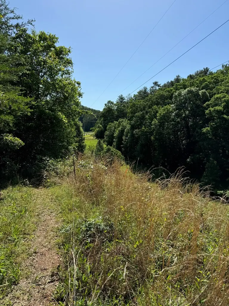 00 John Taylor Road, Hothouse, NC 28906 - #2