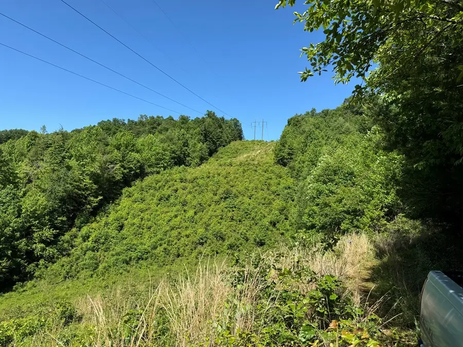 00 John Taylor Road, Hothouse, NC 28906 - #3