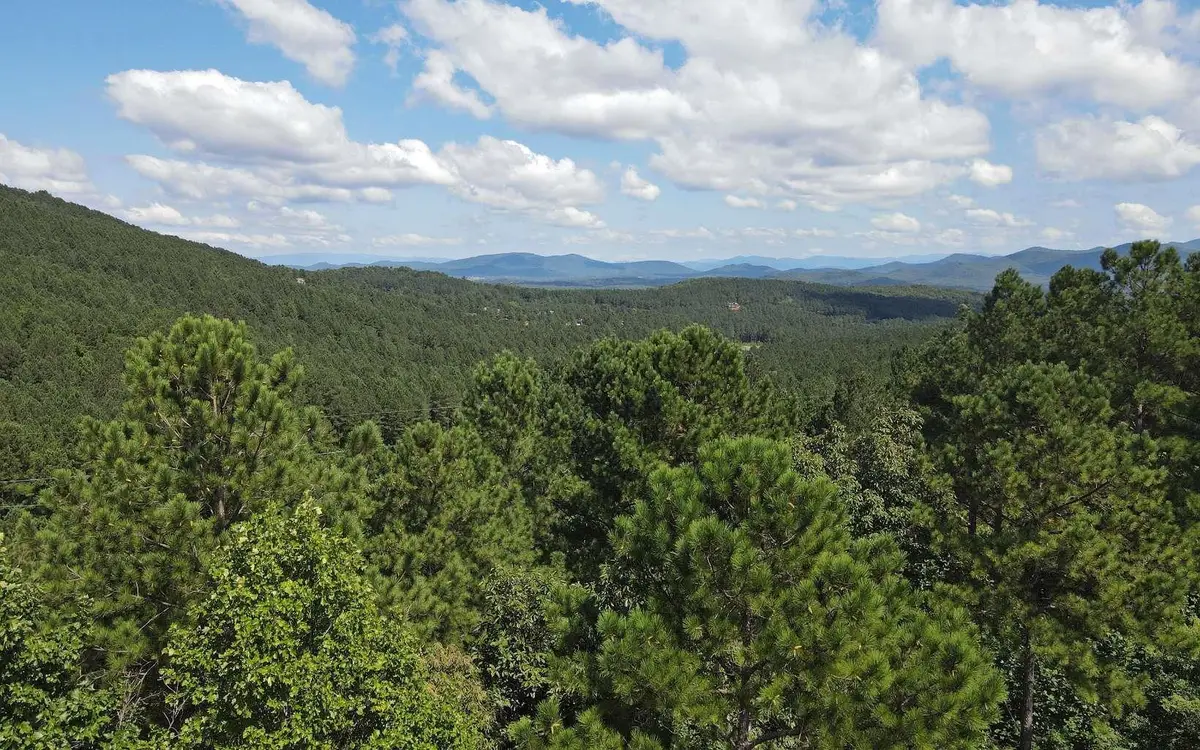 LT 62 Ridge Peak View, Blairsville, GA 30512 - #1