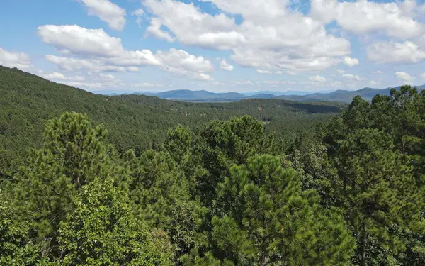 LT 62 Ridge Peak View, Blairsville, GA 30512