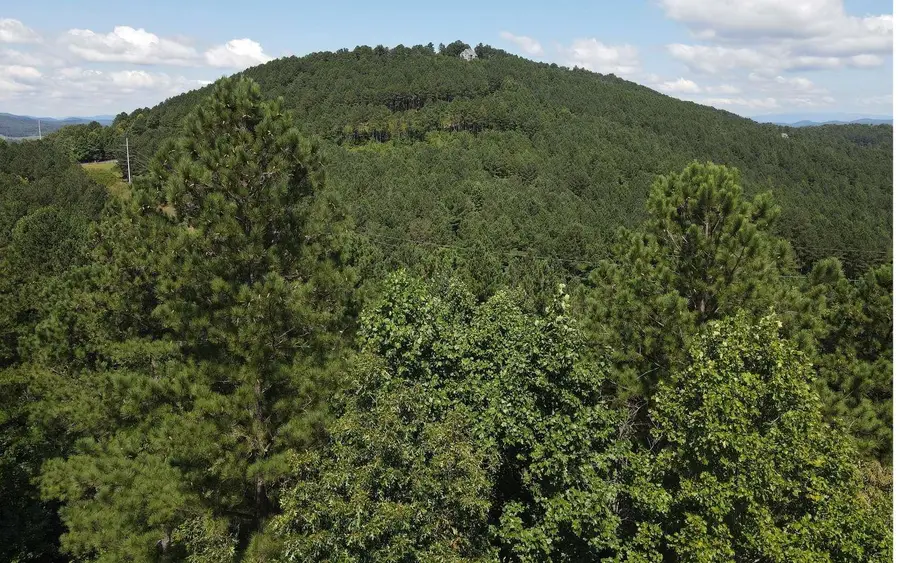 LT 62 Ridge Peak View, Blairsville, GA 30512 - #2
