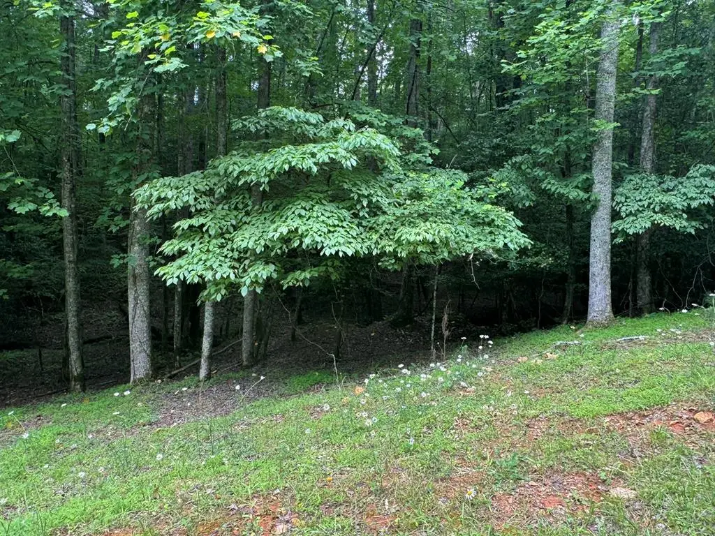 Lot 1721 Newport Drive, Ellijay, GA 30540 - Image #1