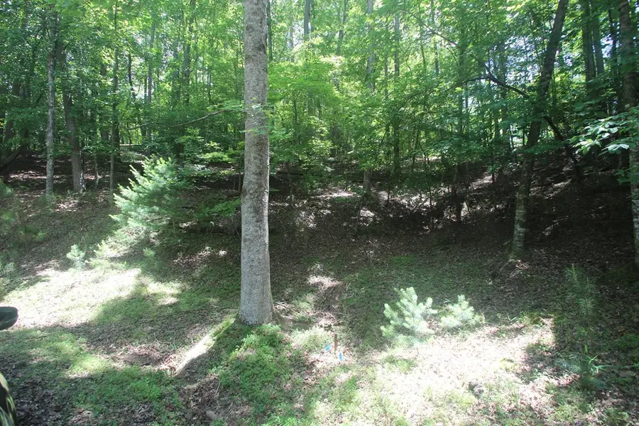 Lt 2628 Garnet Drive, Ellijay, GA 30540 - #2
