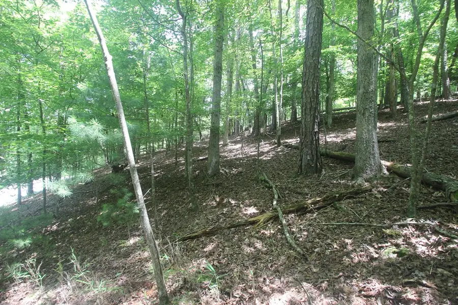 Lt 2628 Garnet Drive, Ellijay, GA 30540 - #3