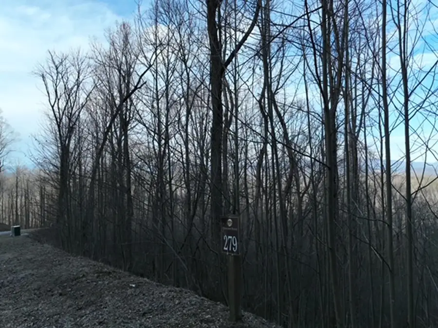 279 Andes Ridge, Ellijay, GA 30536 - #3