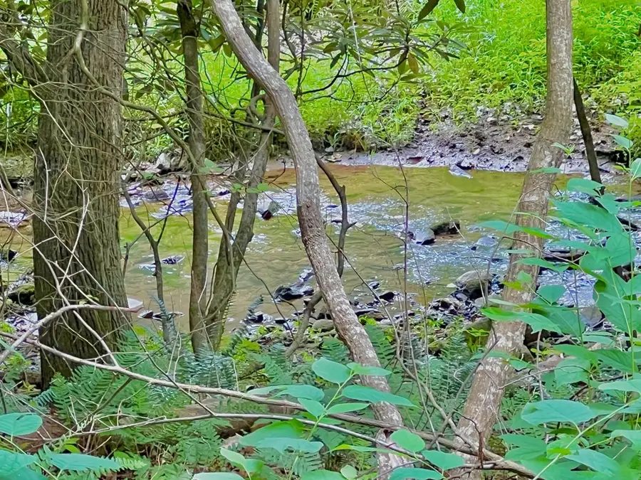 #4 Lower Fox Trail, Blairsville, GA 30512 - Image #3
