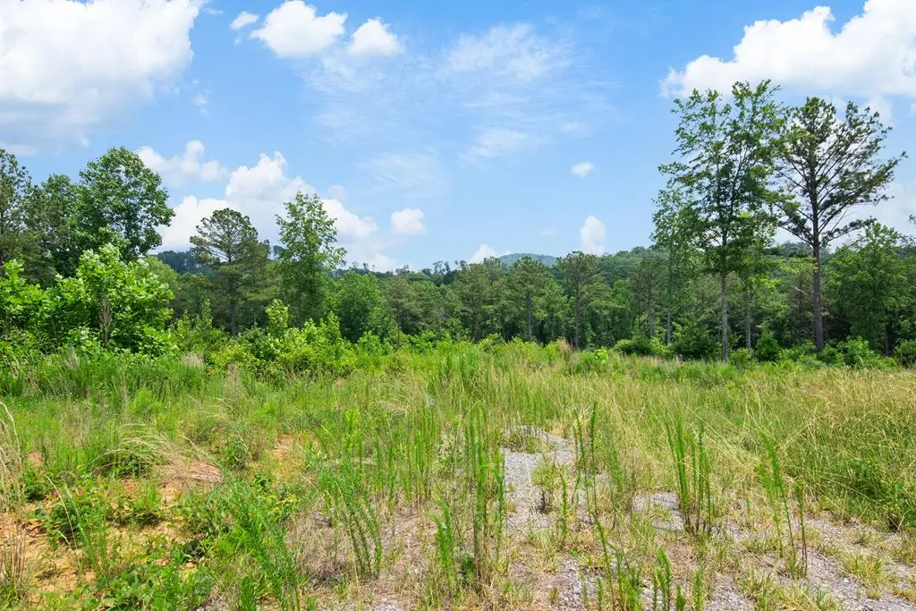 Lot 196 Oak Park Drive, Talking Rock, GA 30175 - #1