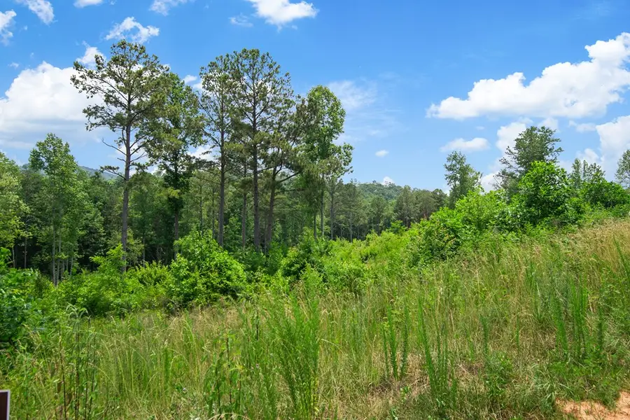 Lot 196 Oak Park Drive, Talking Rock, GA 30175 - #3