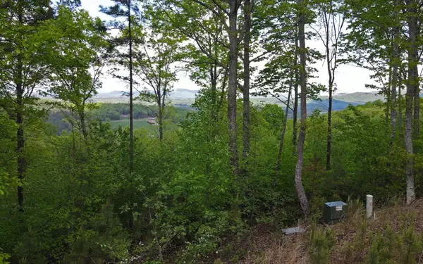 Lot 88 Thirteen Hundred, Blairsville, GA 30512