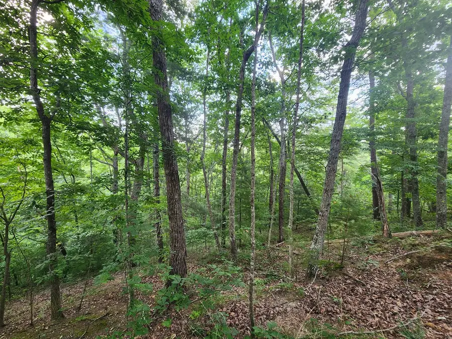 932 Apex Ct, Ranger, GA 30734 - Image #2