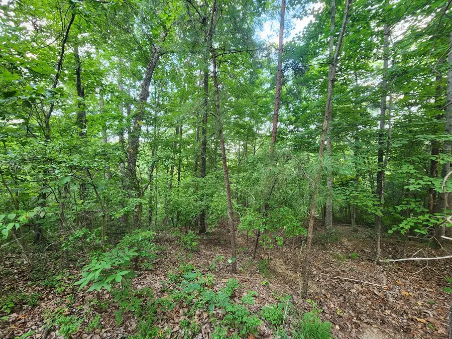 932 Apex Ct, Ranger, GA 30734 - Image #3