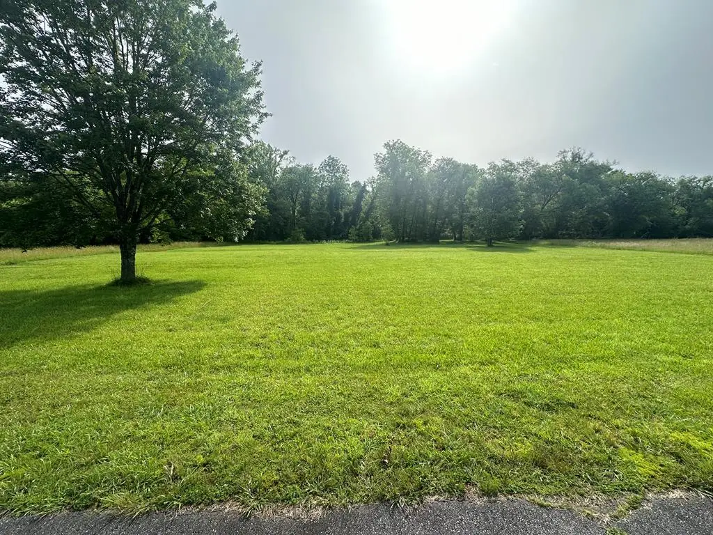 Lot 53 Brasstown Trails, Warne, NC 28909 - #1