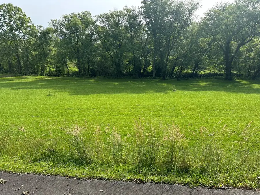 Lot 56 Brasstown Trails, Warne, NC 28909 - #3