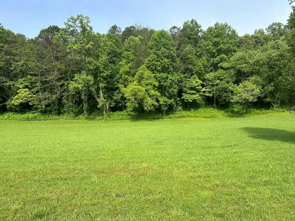 Lot 46 Prosperity Drive, Warne, NC 28909 - Image #1