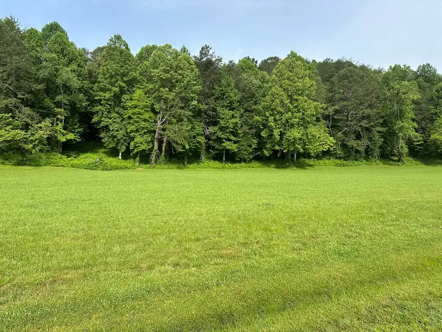 Lot 46 Prosperity Drive, Warne, NC 28909 - Image #2