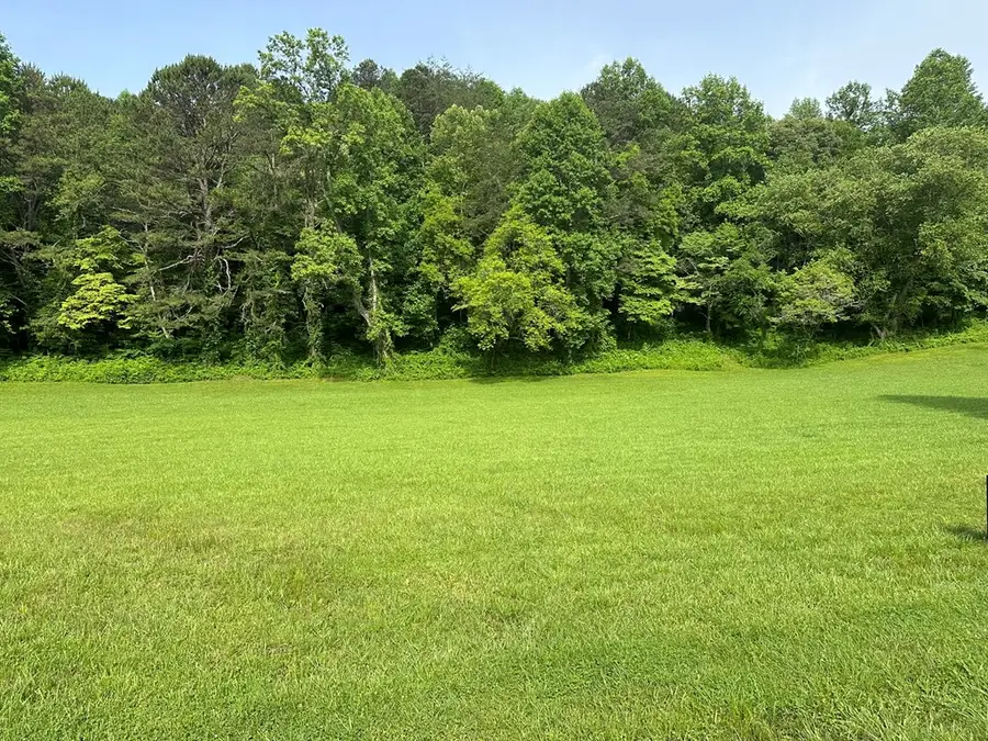 Lot 46 Prosperity Drive, Warne, NC 28909 - Image #3