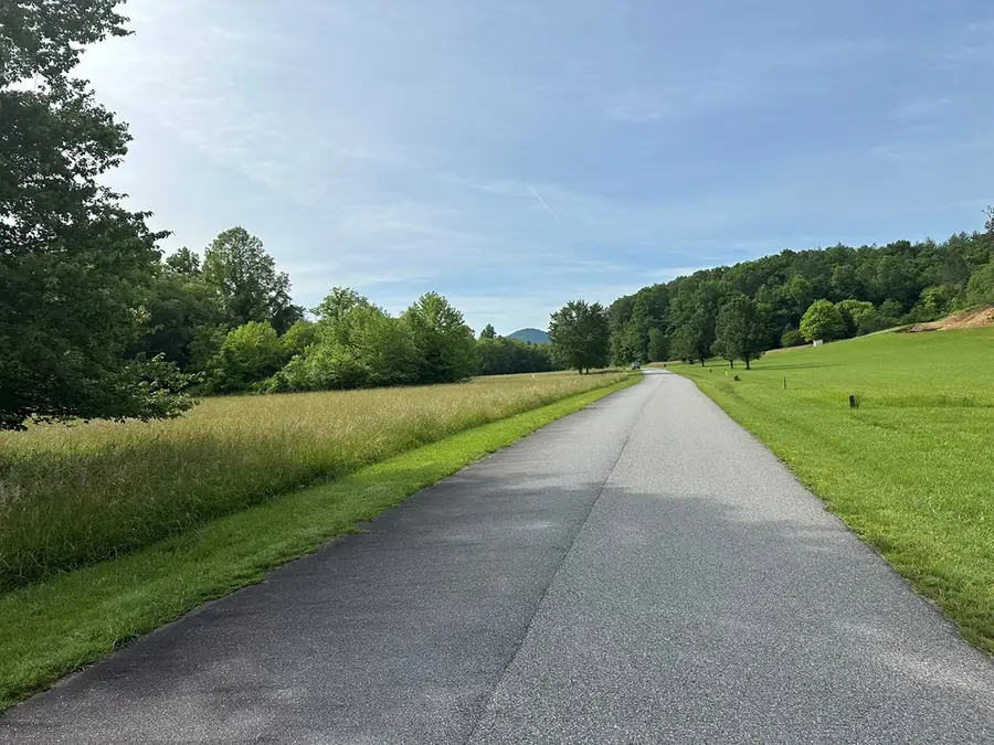 Lot 45 Brasstown Trails, Warne, NC 28909 - #2