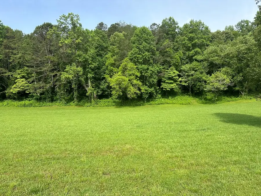 Lot 45 Brasstown Trails, Warne, NC 28909 - #3