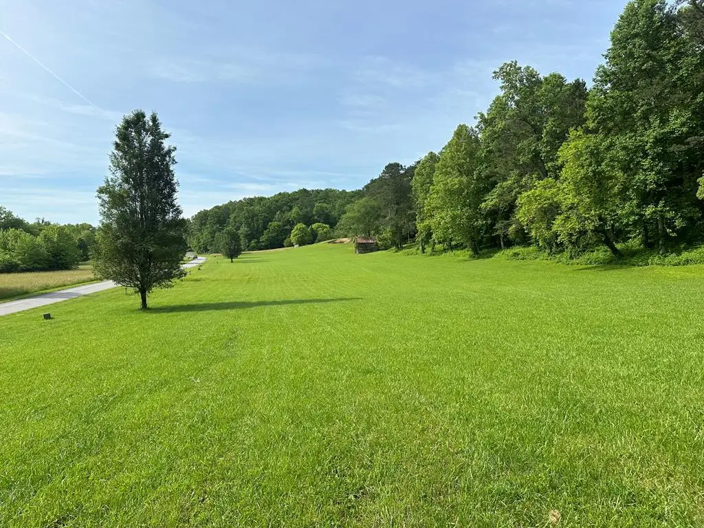 Lot 44 Brasstown Trails, Warne, NC 28909 - #1