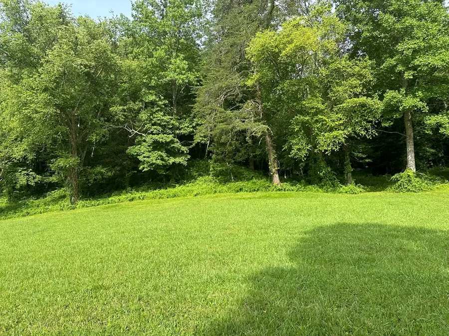 Lot 43 Brasstown Trails, Warne, NC 28909 - Image #3