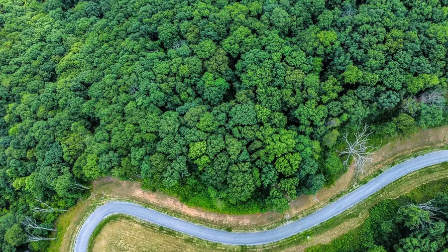 Lot 56 High Summit Drive, Talking Rock, GA 30175 - Image #3