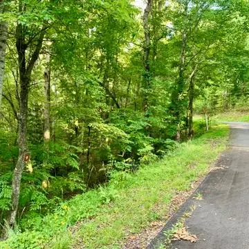 Lot 9 Wildflower Ridge, Warne, NC 28909 - Image #2