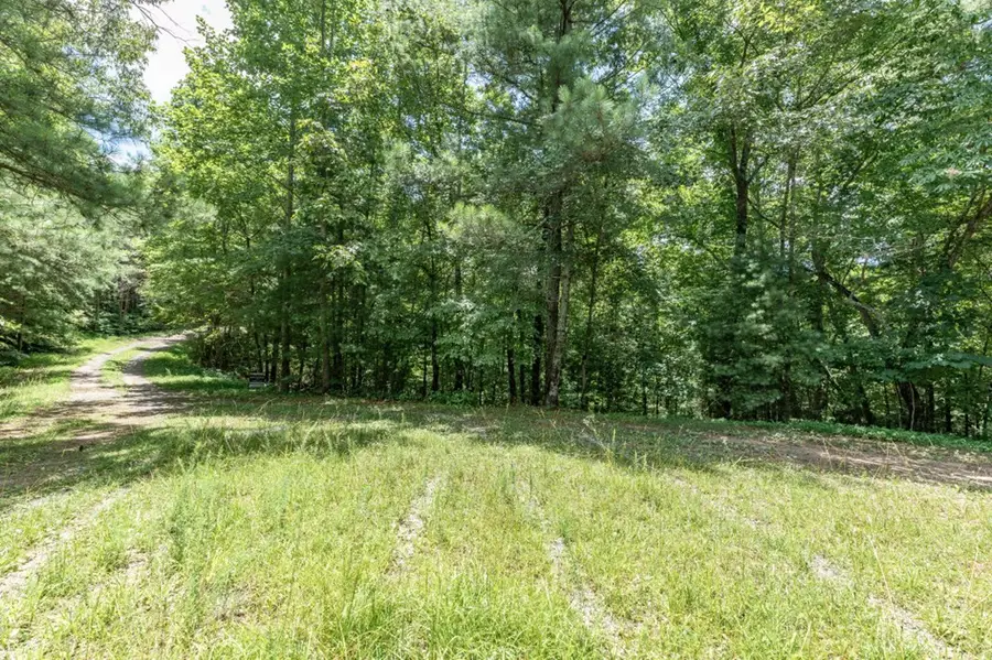 Lot 1687 Shade Tree Drive, Ludville, GA 30534 - Image #2