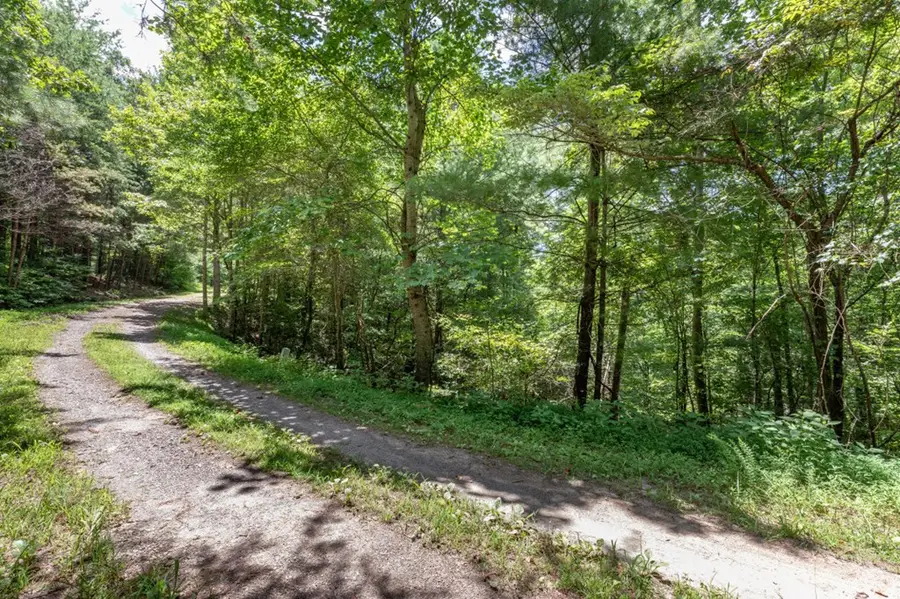 Lot 1687 Shade Tree Drive, Ludville, GA 30534 - Image #3