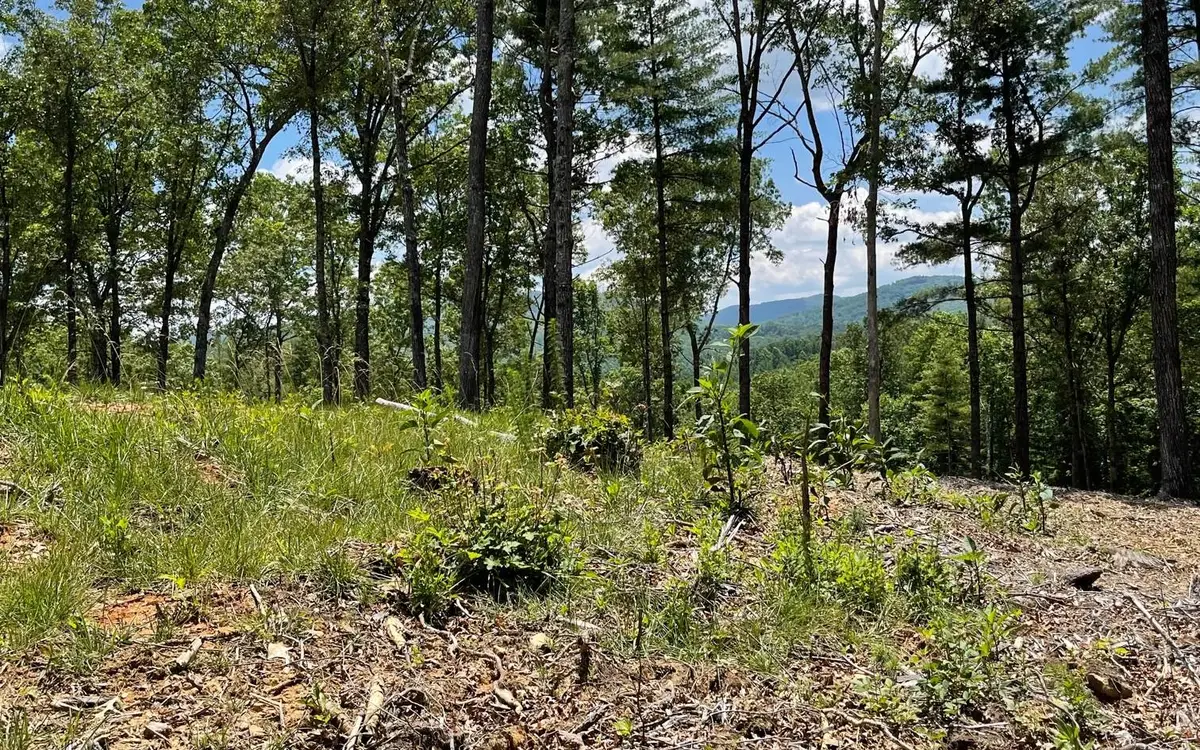 LOT 95 The Ridges, Morganton, GA 30560 - Image #1