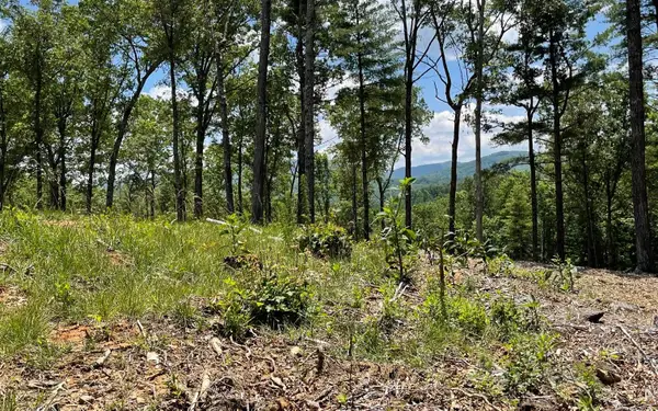 LOT 95 The Ridges, Morganton, GA 30560