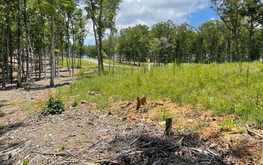 LOT 95 The Ridges, Morganton, GA 30560 - Image #2