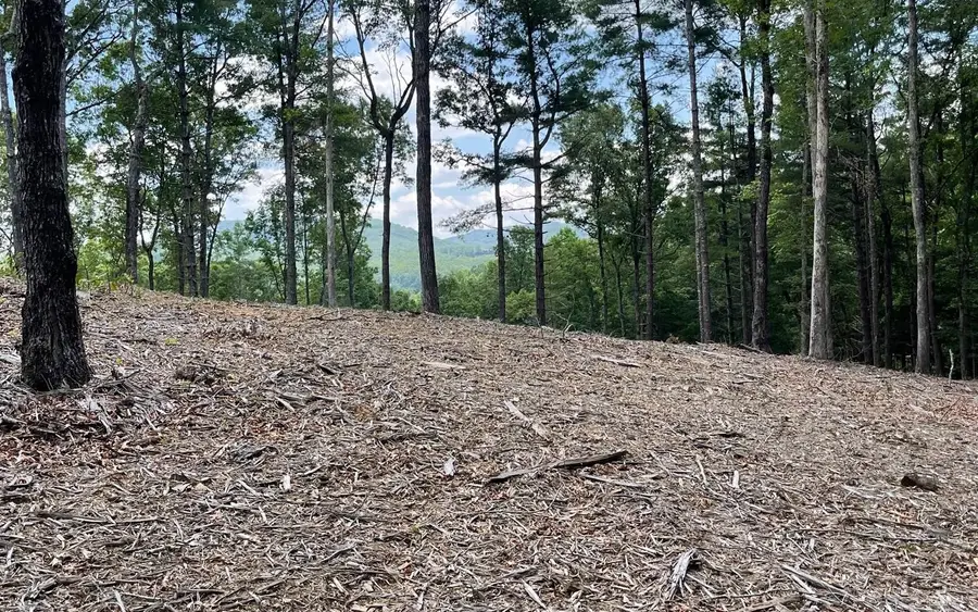 LOT 95 The Ridges, Morganton, GA 30560 - Image #3