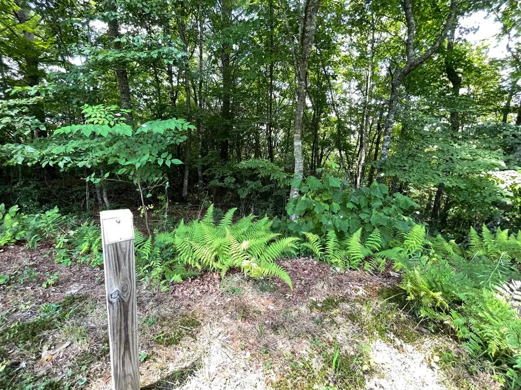 Lot 37 Fodder Creek Mill Drive, Hiawassee, GA 30546 - Image #1