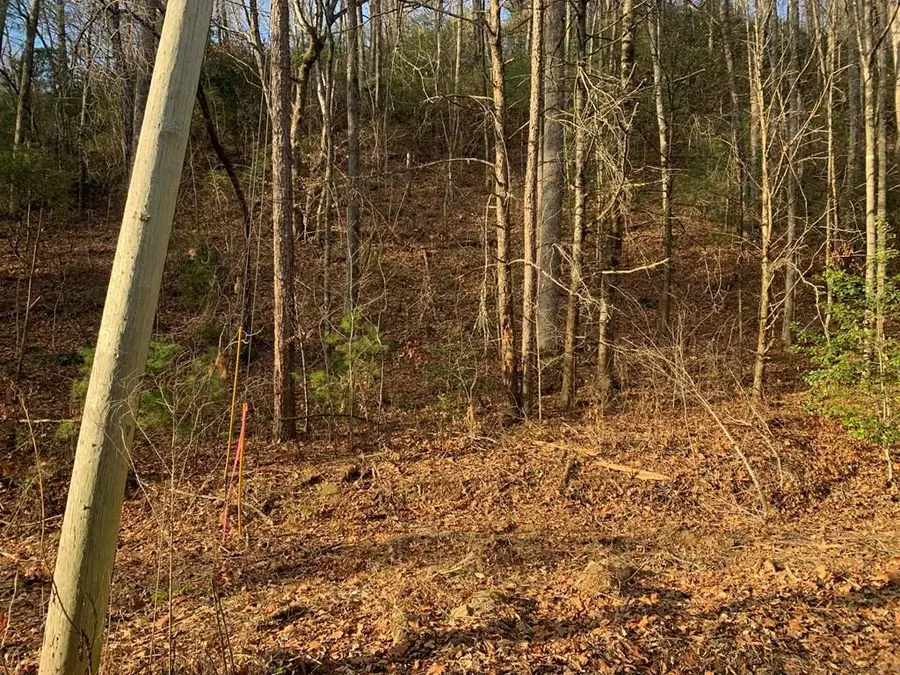 3.66 Horton Road, Murphy, NC 28906 - Image #3