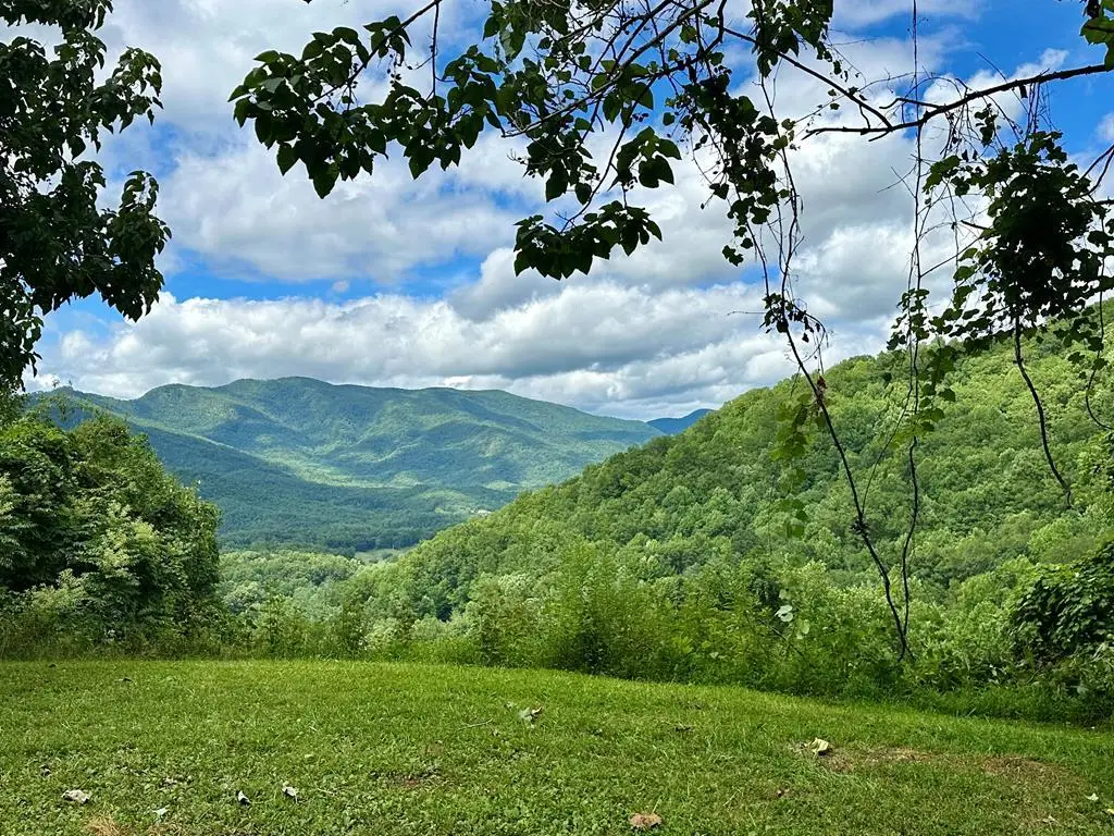 Lot 32 Shiloh Trail, Hayesville, NC 28904 - #1
